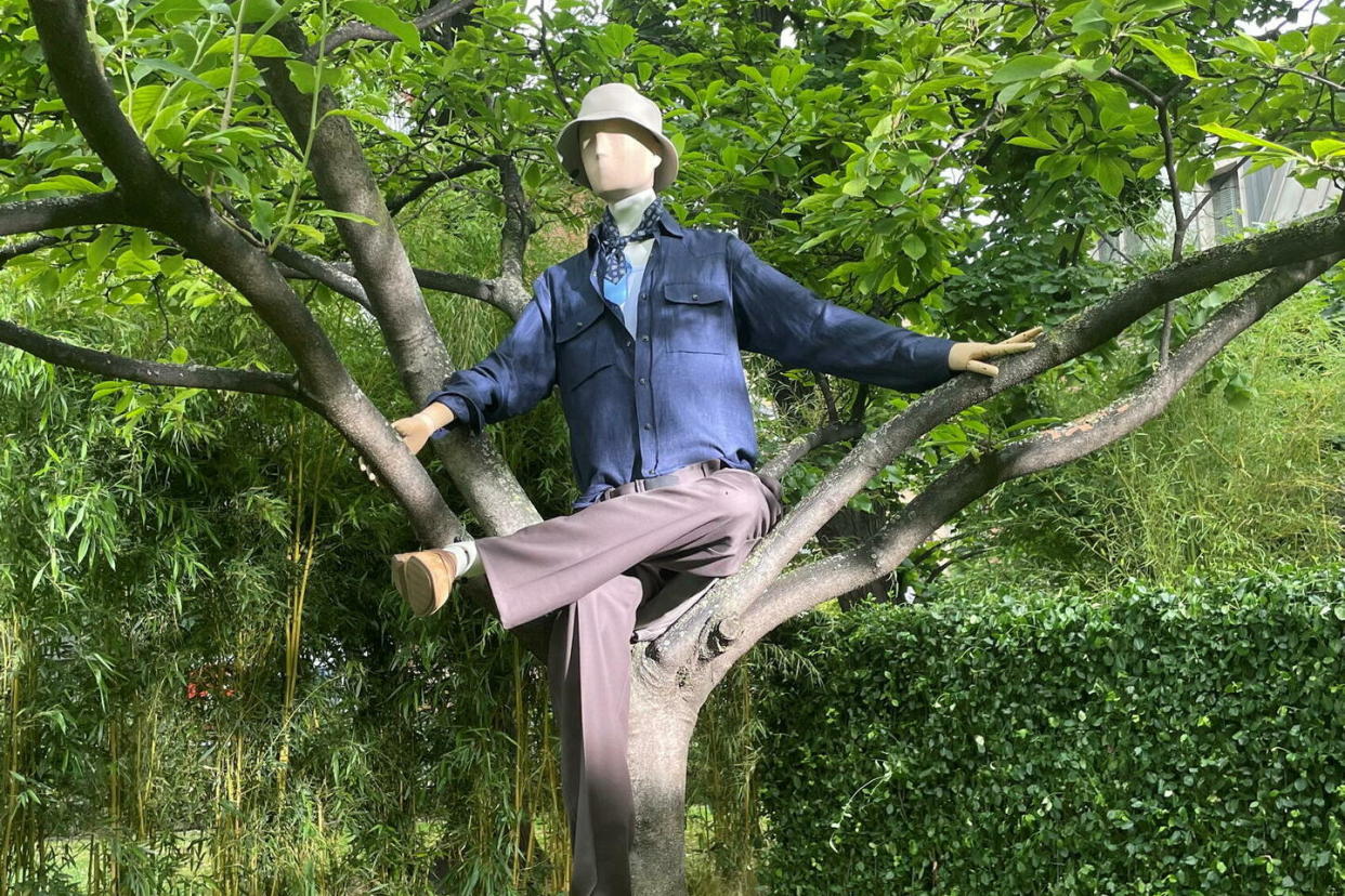 Un homme Brioni perché dans un arbre : un peu de légèreté pour l'été 2025.  - Credit:GD