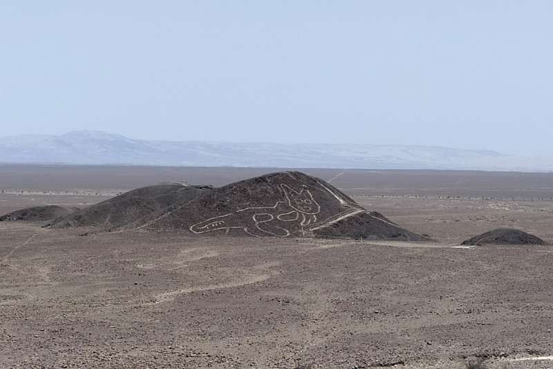 秘魯發現新納斯卡線，考古人員找到巨貓圖騰（美聯社）