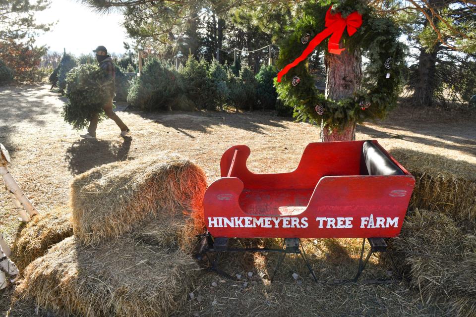 Randy Thiele carries a cut Christmas tree Thursday, Dec. 3, 2020, at Hinkemeyer Tree Farm near Rice.