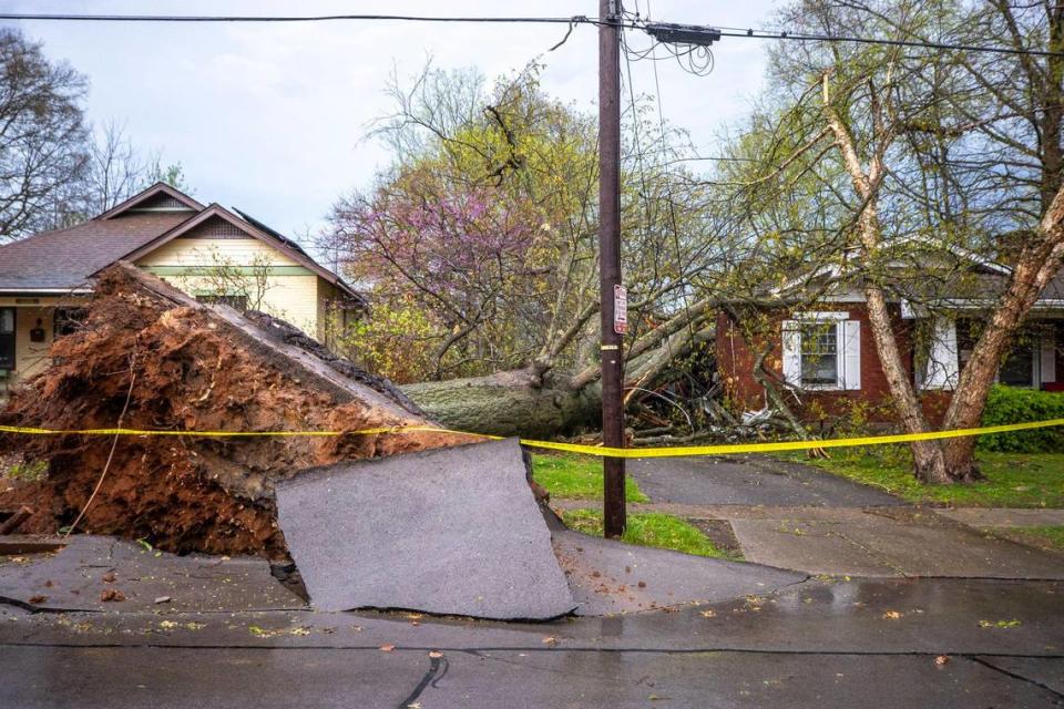 A tree fell on a house on Melrose Avenue during a storm in Lexington, Ky., on Tuesday, April 2, 2024. Ryan C. Hermens/rhermens@herald-leader.com