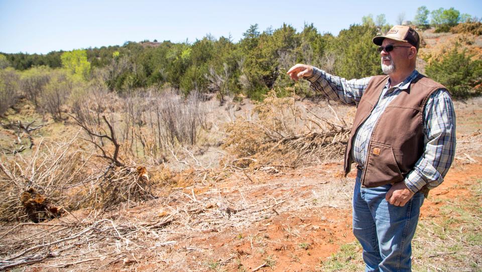 Jimmy Emmons explains how redcedars are robbing his pond of water on his ranch near Leedey.