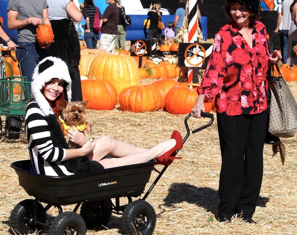 Phoebe Price Pumpkin Patch