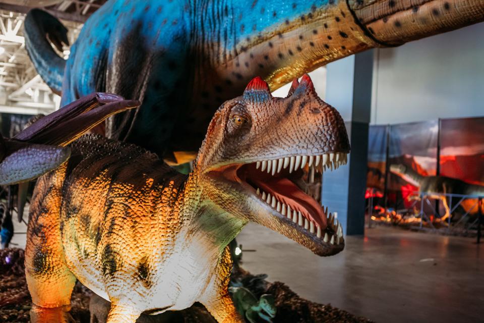 An animatronic Ceratosaurus is featured in the touring Jurassic Quest event that stops Aug. 4-6 at the Ocean Center in Daytona Beach.