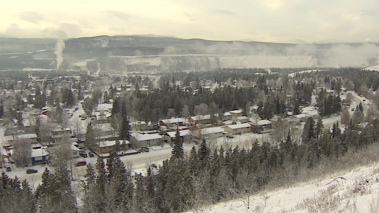 Wood smoke 'a real concern' for air quality in Whitehorse, study suggests