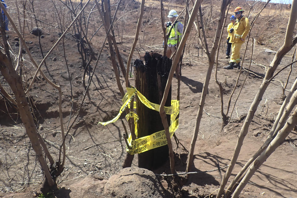 This photo provided by the Morgan & Morgan law firm shows a charred Hawaiian Electric utility pole stump in Lahaina, Maui, Hawaii on Aug. 29, 2023. Investigators are examining this and other pieces of evidence as they seek to solve the mystery of how a small, wind-whipped fire sparked by downed power lines and declared extinguished flare up again hours later into a devastating inferno. (Morgan & Morgan via AP)