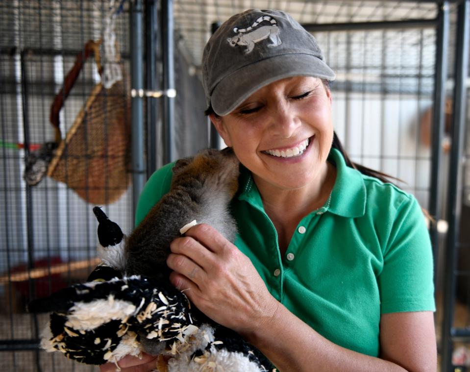 Jeanna Treider is licked by Marley at Ringtail Ranch Lemur Rescue, Friday, June 16, 2023.