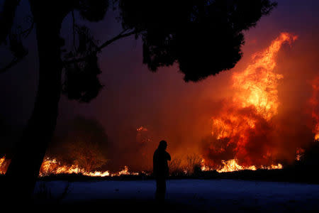 FILE PHOTO: A man looks at the flames as a wildfire burns in the town of Rafina, near Athens. REUTERS/Costas Baltas