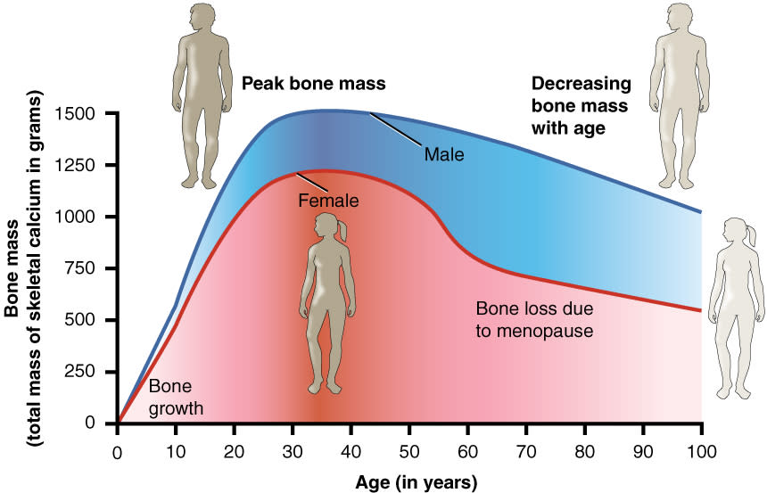 Do Men Have Estrogen? Yes, and It's Critical to Their Health