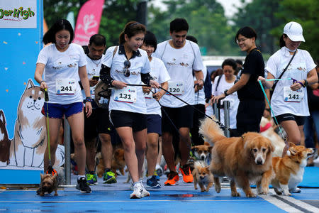 People run with their pets during a mini-marathon for dogs in Bangkok, Thailand May 7, 2017. REUTERS/Jorge Silva