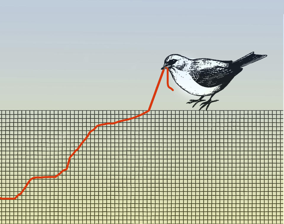 Conceptual illustration of a bird pulling at a graph that resembles a worm depicting struggle.