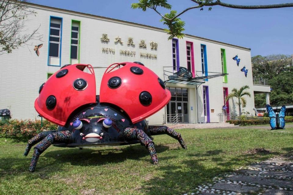 新嘉大昆蟲館（圖片來源：新嘉大昆蟲館）