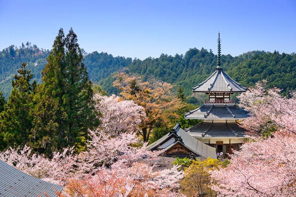 吉野山（Image Source : Getty Creative）