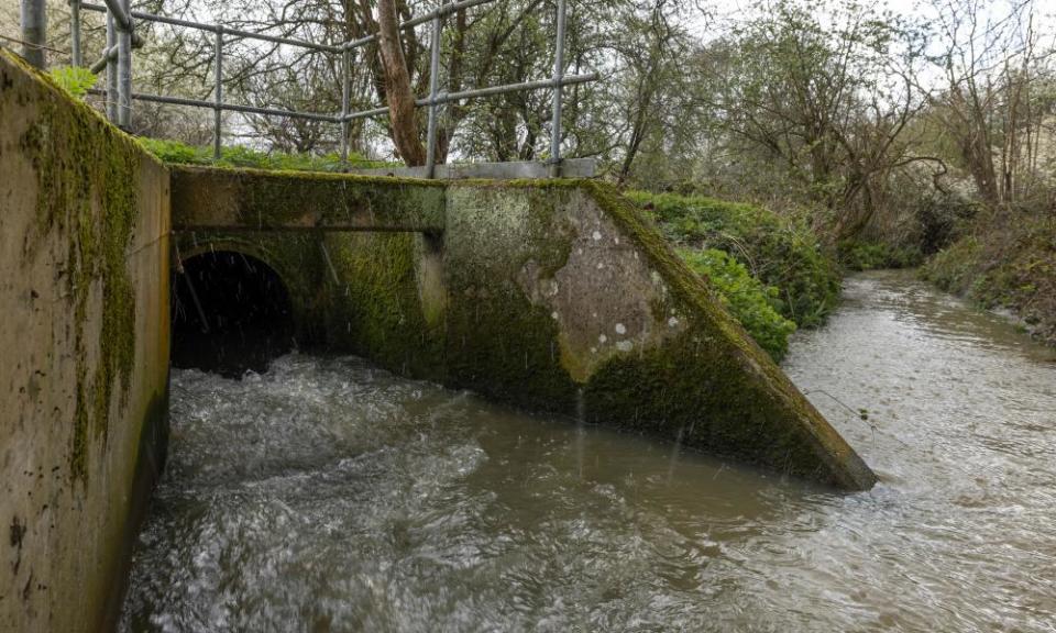 <span>Photograph: Dan Kitwood/Getty Images</span>