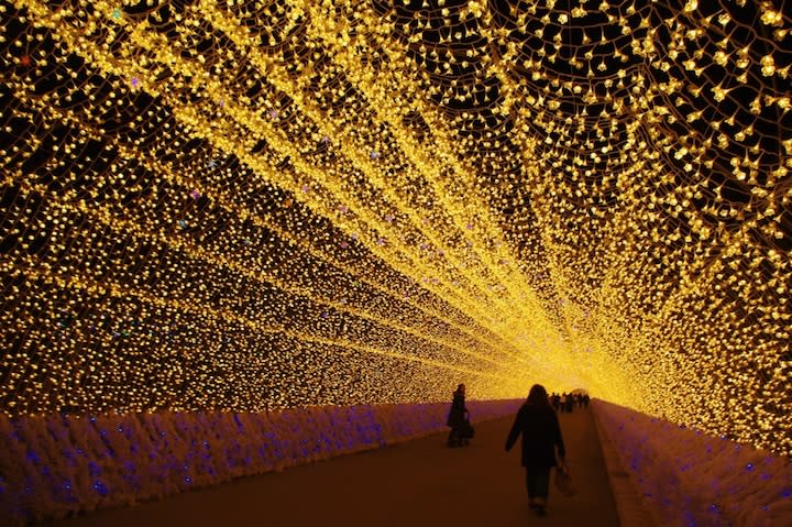 A few visitors walk toward the bright end of the tunnel. <a href="http://www.mymodernmet.com/profiles/blogs/nabana-no-sato-tunnel-japan" rel="nofollow noopener" target="_blank" data-ylk="slk:(Panda-moniummm / My Modern Met);elm:context_link;itc:0;sec:content-canvas" class="link ">(Panda-moniummm / My Modern Met)</a>