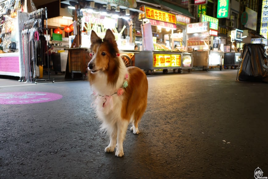 高雄｜六合國際觀光夜市