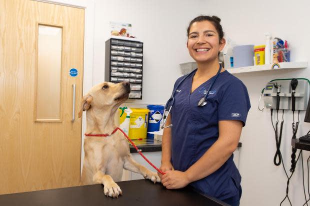 The Northern Echo: Rebecca Dobinson con el perro Jaz, en Westway vets en Houghton-le-Spring.  Imagen: Socios veterinarios
