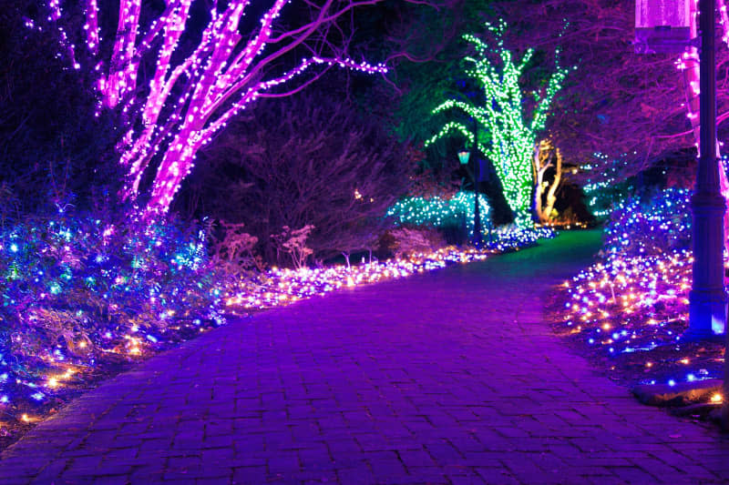 Lewis Ginter Botanical Gardens, Garden Fest of Lights, Light Displays.