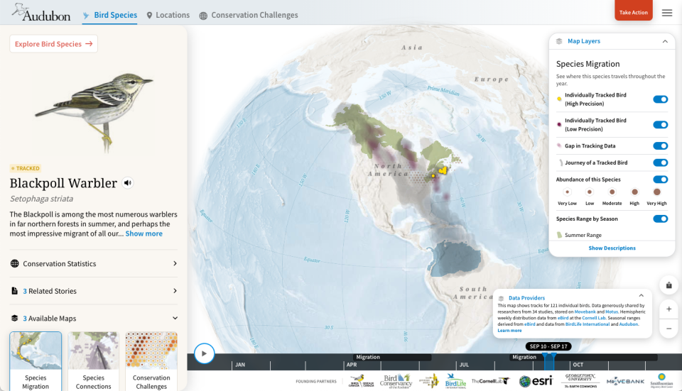 The Bird Migration Explorer app depicts the journey of the blackpoll warbler. Its primary habitat across Canada and the Northeast is depicted in green, and it's journey across Caribbean to South America in shaded gray. The half-ounce bird can fly thousands of miles and 72-hours straight on its journey, made more arduous by human hazards.