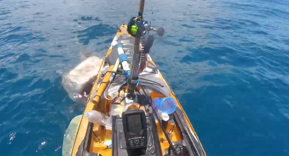 A yellow kayak belonging to Scott Haraguchi on blue calm water near Hawaii. A shark's head on the left about to breach the water.