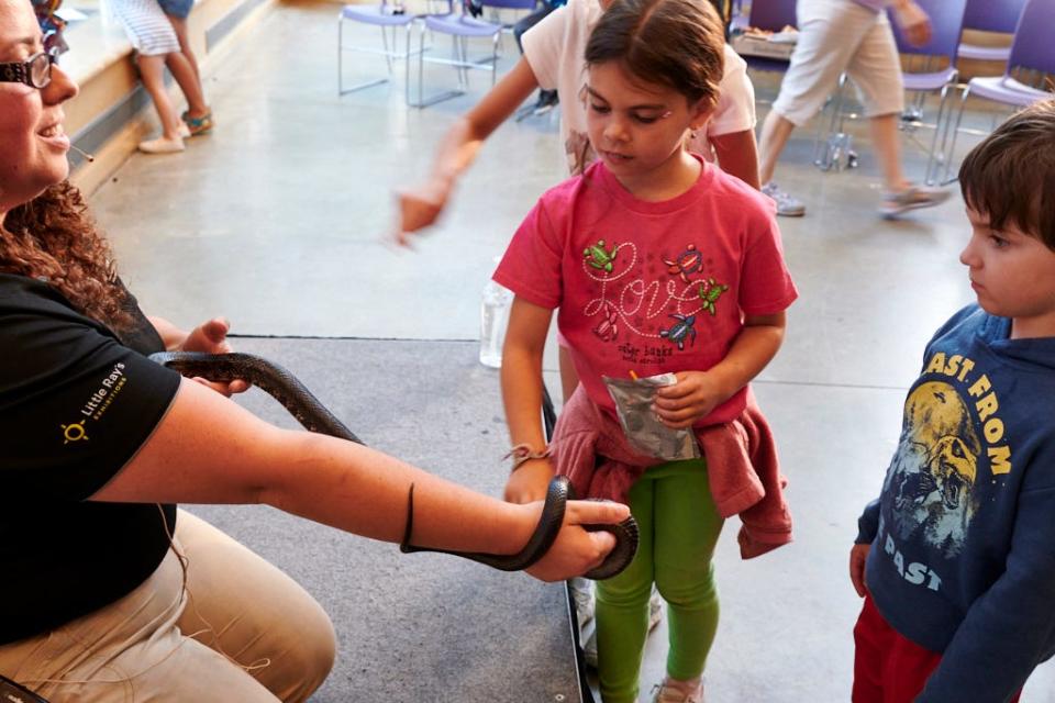 Da Vinci Science Center, in Allentown, offers hands-on learning experiences designed to inspire in children a love of science, technology, engineering and math.