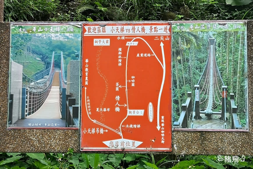 雲林古坑｜華山園區小天梯＆情人橋