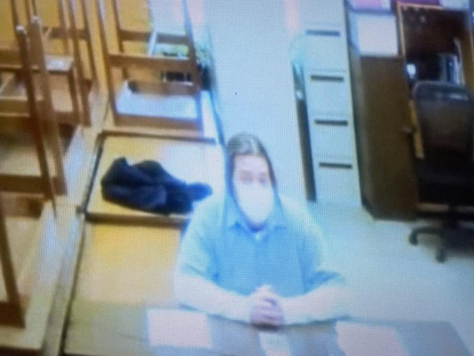 Chad Cobb, who is serving a life sentence for Ashley Biggs' murder, testifies from prison via video in Erica Stefanko's first trial in November 2020. Stefanko, Cobb's ex-wife, is being retried for her alleged role in the slaying.