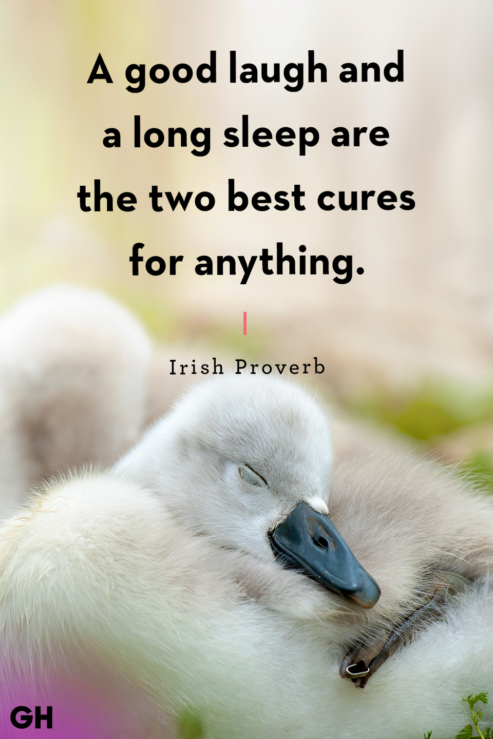 Irish Proverb