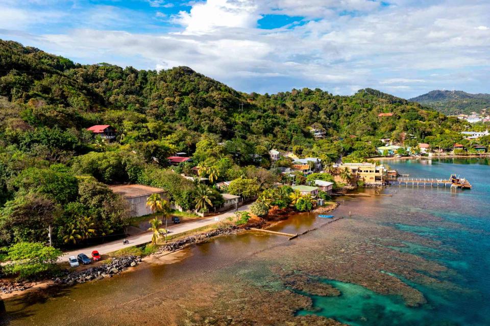 <p>Bill Gozansky / Alamy Stock </p> The biodiverse waters around Roatán.