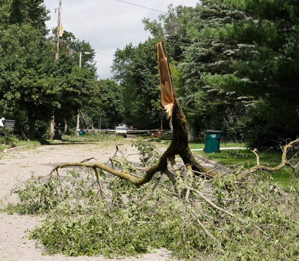 A trees block the road in the Churchill Downs neighborhood in Lansing after a major storm Thursday. night. Photo:Friday, Aug. 25, 20.23