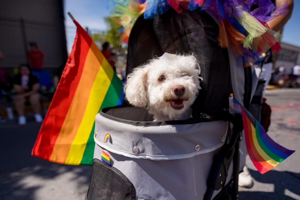 El Pasoans celebrate the 19th Annual El Paso Sun City Pride Parade at Downtown El Paso on Saturday, June 29, 2024.