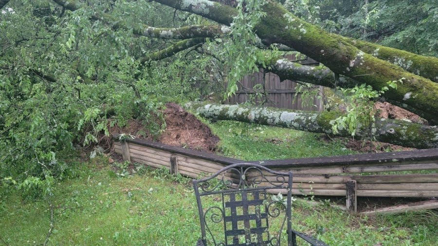 Images of damage near Shady Heights Road and Catherine Heights Road in Hot Springs from Jessica LeAnn Johnson