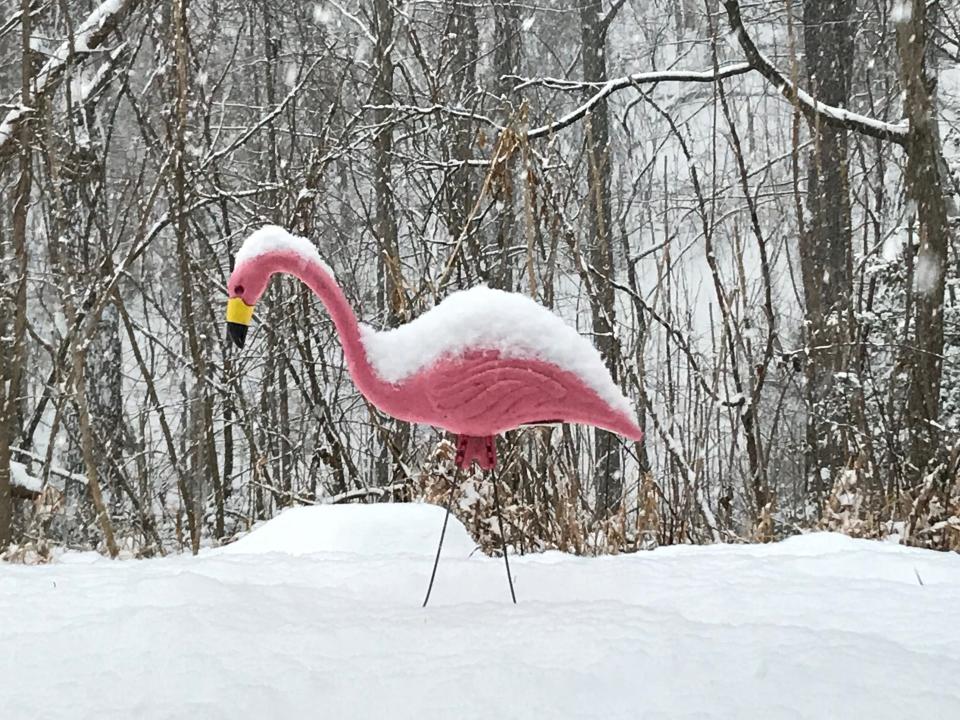 Several inches of snow cover this pink flamingo at 4:30 p.m. Wednesday in Brighton Township. Earlier that morning barely a dusting could be seen on this feathered yard ornament.