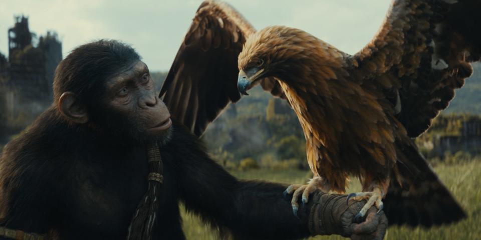 An ape, Noa, with a bird on its arm in "Kingdom of the Planet of the Apes."