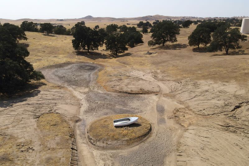 FILE PHOTO: Soaring temperatures and drought continue to affect livestock and water supplies in Madera