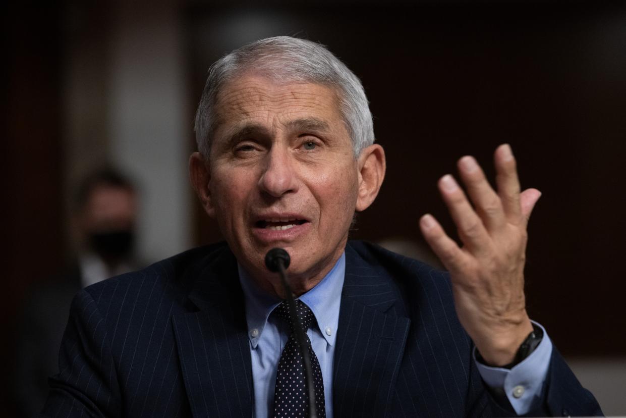 File: Dr Anthony Fauci speaks at a Senate committee hearing on Covid-19 on 23 September (Alex Edelman / Pool via CNP / SplashNews.com)