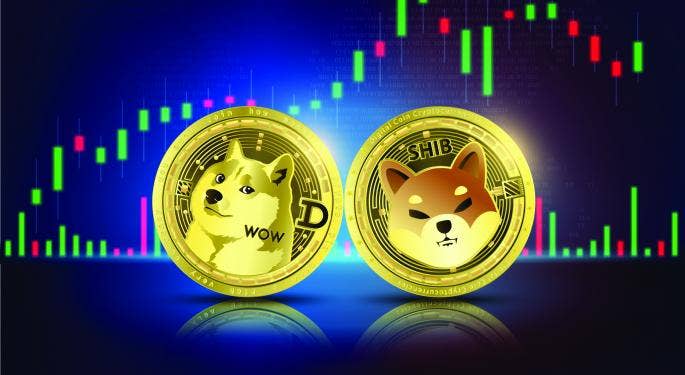 Attività su Dogecoin e Shiba Inu ai massimi di 7 settimane