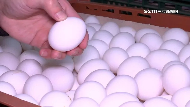 國內雞蛋批發價今起再漲3元，此波蛋價每顆調漲0.3元。（圖／資料照）