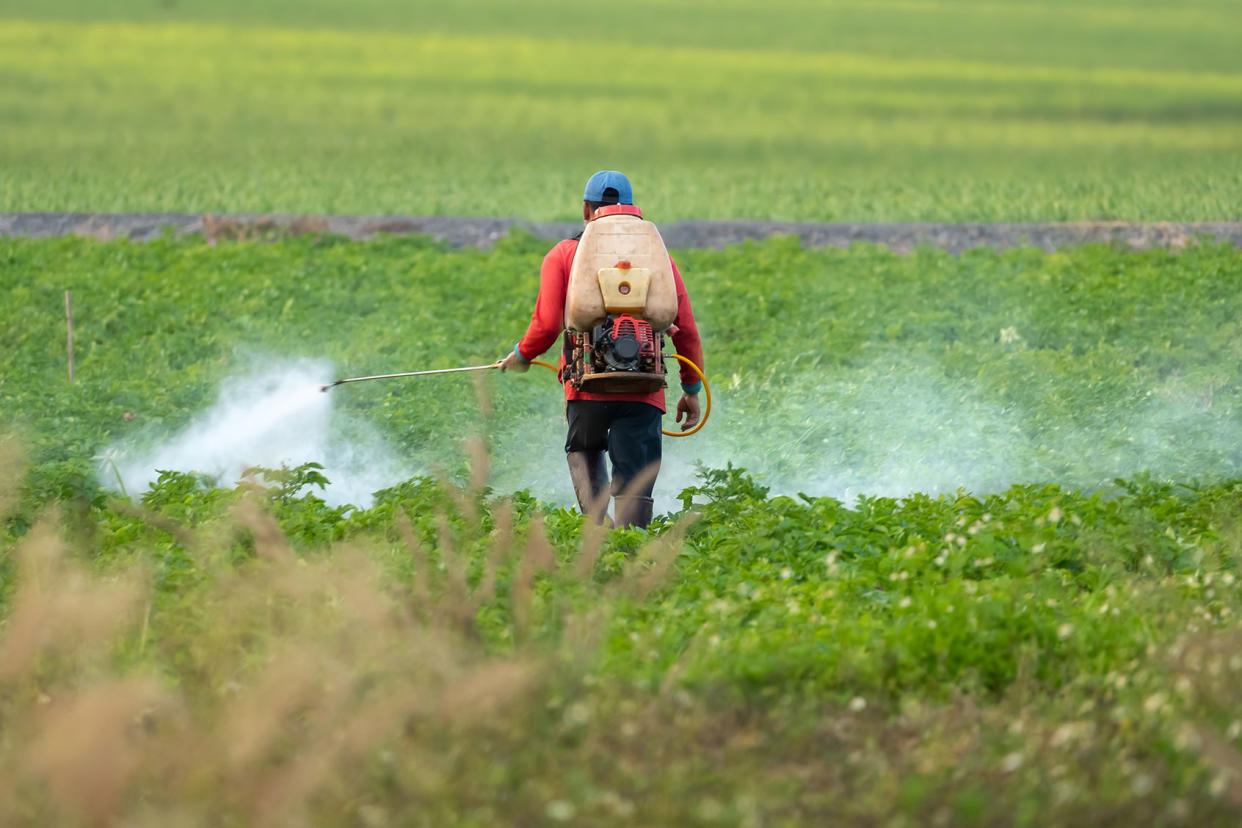 Farmer spraying pesticide on field Getty Image/Toa55