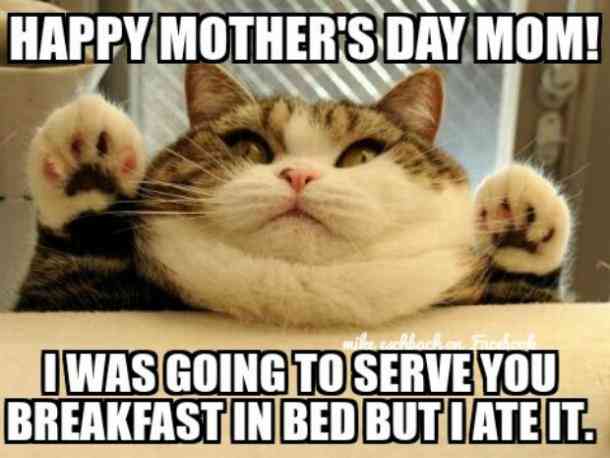 best mother&#039;s day memes