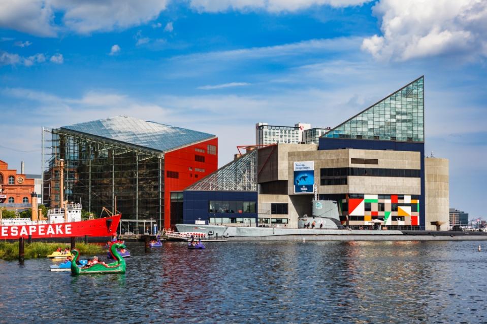 The National Aquarium located in the Baltimore via Getty Images