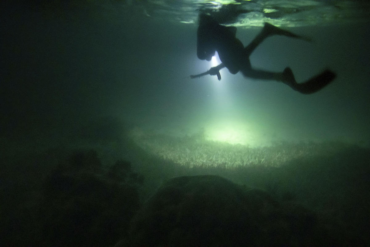 AP Photos: Night fishing in moonlit sea in eerie silence