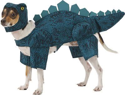 <p>This look should never go extinct.</p> <p><strong>Buy it!</strong> Dinosaur Dog Costume, $22.99; <a href="https://prf.hn/click/camref:1100l5eMx/pubref:https%3A%2F%2Fwww.chewy.com%2Ffrisco-stegosaurus-dinosaur-dog-cat%2Fdp%2F185508/destination:https%3A%2F%2Fwww.chewy.com%2Frubies-costume-company-child-walking%2Fdp%2F253363" rel="nofollow noopener" target="_blank" data-ylk="slk:Chewy.com;elm:context_link;itc:0;sec:content-canvas" class="link ">Chewy.com</a></p>