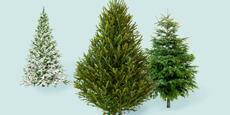 Walmart Is Delivering Live Christmas Trees Straight to Your Door This Year