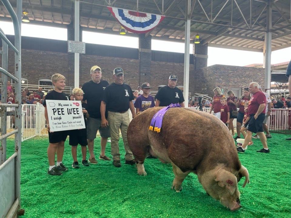 Pee-Wee poses with his owners after taking the first place prize at the Big Boar contest Thursday at the Iowa State Fair. He weighed in at 1,300 pounds, just 35 pounds short of the fair record.