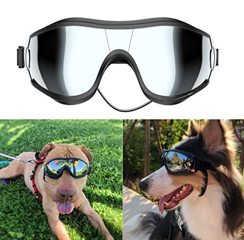 NVTED Dog Sunglasses (Amazon / Amazon)