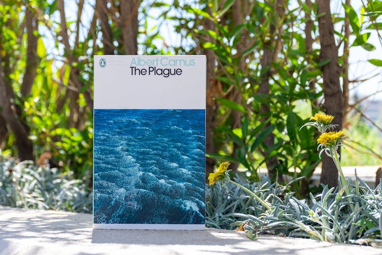 A book in a tropical setting.