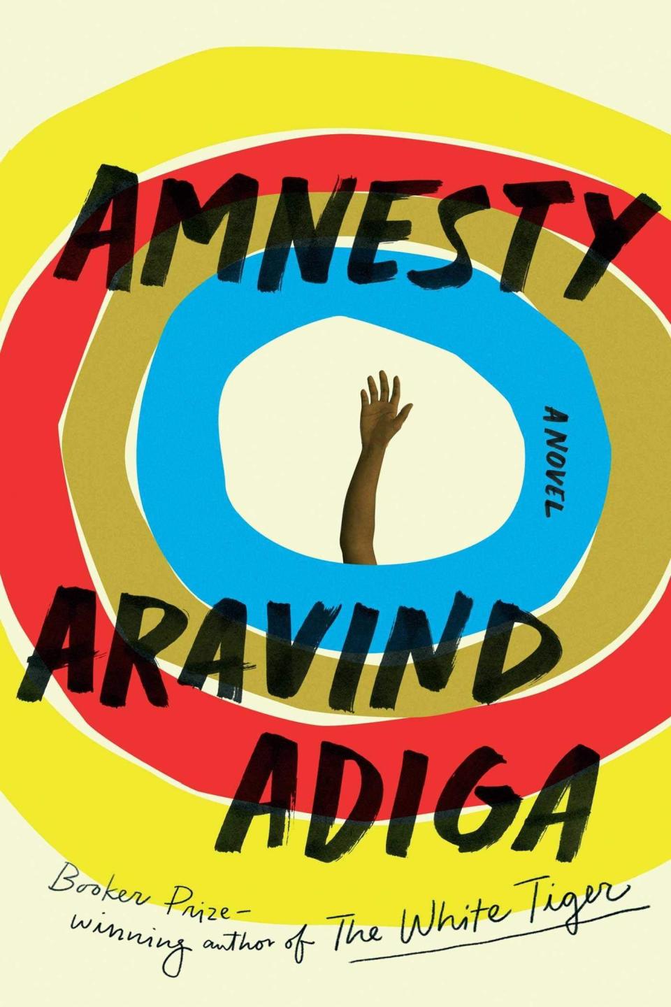 'Amnesty' by Aravind Adiga
