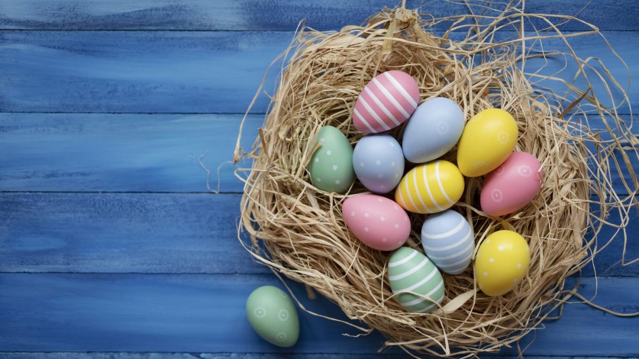 easter nest with colorful eggs