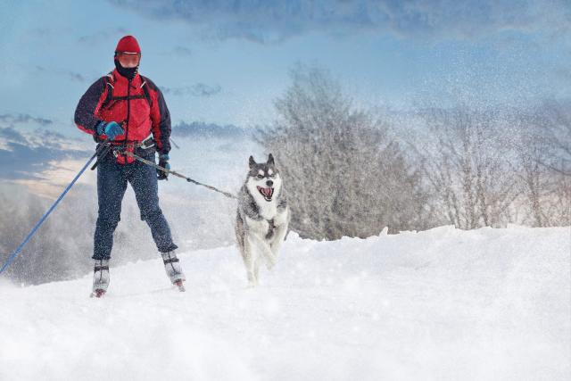 11 Winter Activities That Will Have You Both Howling With Joy