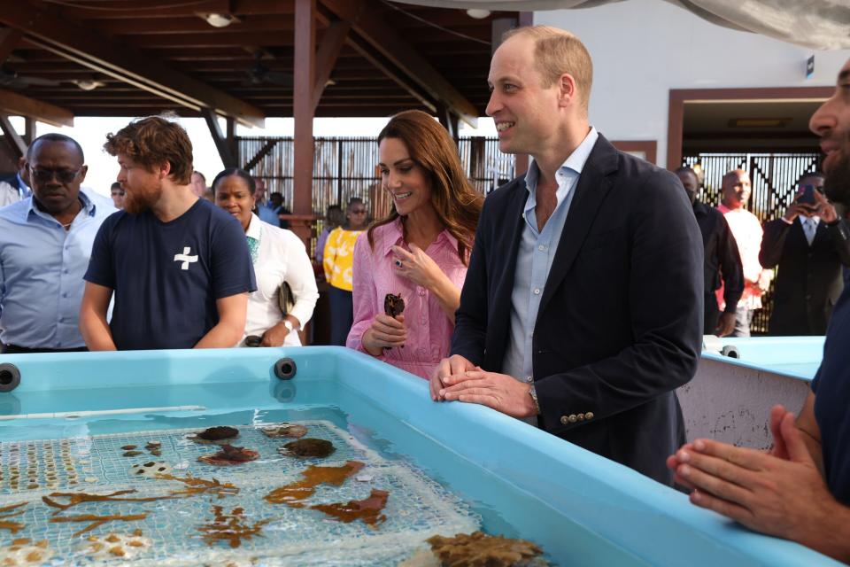 Catherine, Duchess of Cambridge and Prince William, Duke of Cambridge visit 2021 Earthshot Prize Winner, Coral Vita on March 26, 2022 in Coral Vita, Bahamas. Coral Vita was the inaugural winner of the Revive Our Oceans Earthshot in recognition of their ground-breaking work to give new life to dying coral reefs. Their approach, which utilizes an innovative restoration funding model while farming corals on land before planting them into oceans, sees coral grow up to 50 times faster than traditional methods and improves their resilience to the impacts of climate change.